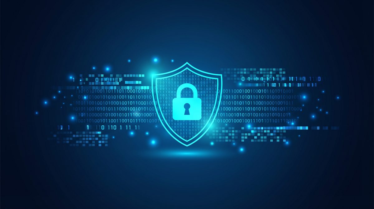 豚海加速器隐私安全保护